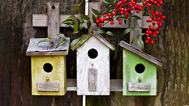 Trois maisons d’oiseaux fixées à un grand arbre au jardin.
