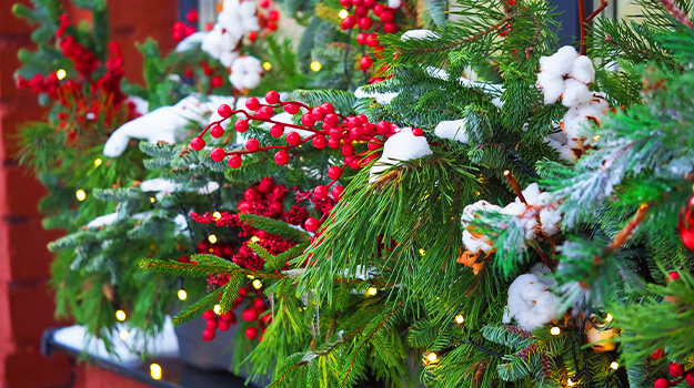 pro-mix-christmas-evergreen-planters-05