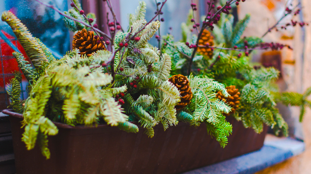 pro-mix-christmas-evergreen-planters-10