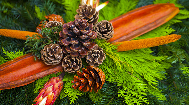 pro-mix-christmas-evergreen-planters-08