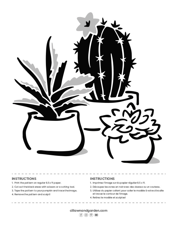 pro-mix-citrouille-stencils-10