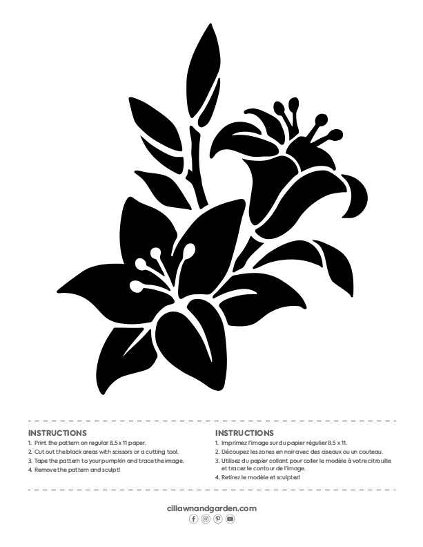 pro-mix-citrouille-stencils-11