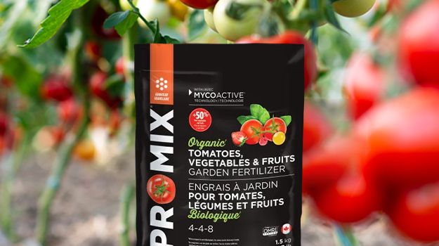 pro-mix-comment-fertiliser-les-tomates-02