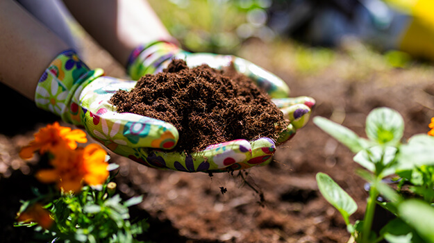pro-mix-comment-fertiliser-son-jardin-02
