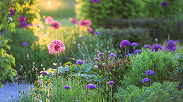 pro-mix-ecological-garden-practical-guide-01