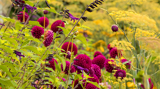 pro-mix-ecological-garden-practical-guide-02