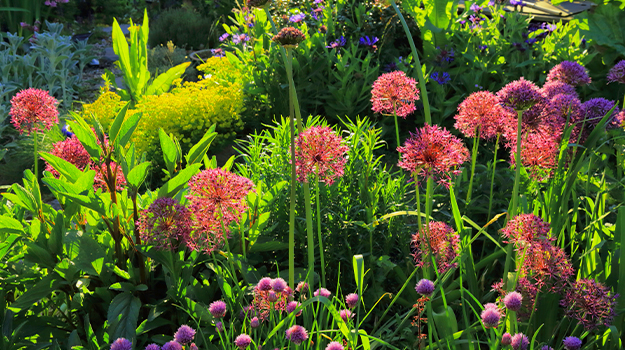 pro-mix-ecological-garden-practical-guide-04