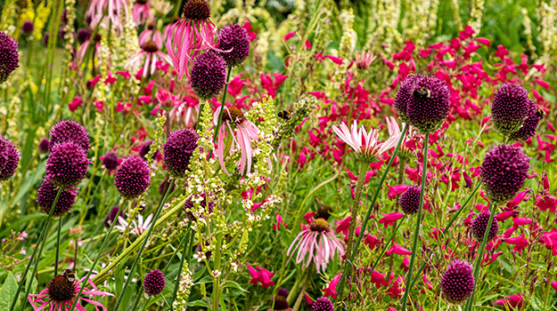 pro-mix-ecological-garden-practical-guide-07