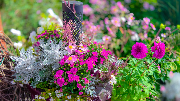pro-mix-fall-decor-refresh-containers-01-02_0