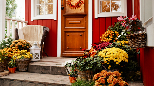 pro-mix-fall-decor-refresh-containers-01