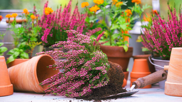 pro-mix-fall-decor-refresh-containers-01_0