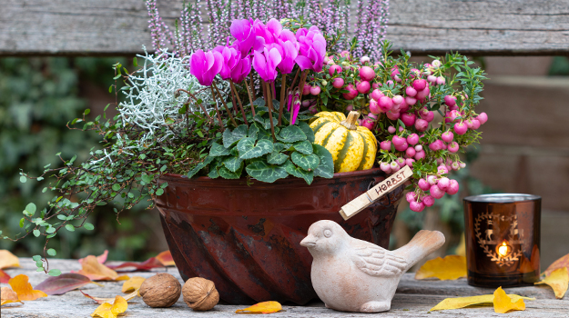 pro-mix-fall-decor-refresh-containers-02