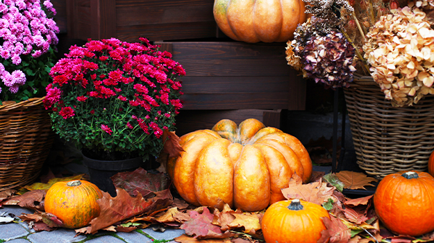 pro-mix-fall-decor-refresh-containers-04