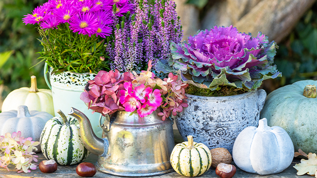 pro-mix-fall-decor-refresh-containers-05