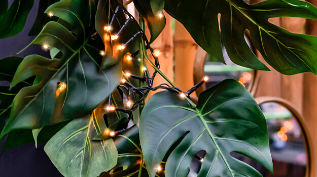 pro-mix-fleurs-decos-noel-themes-annee-07