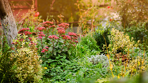 pro-mix-gardening-trends-01