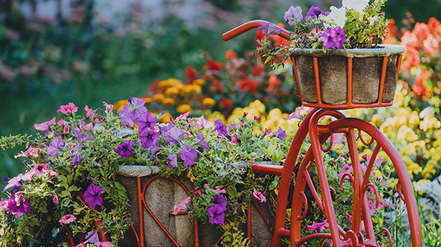 pro-mix-gardening-trends-04
