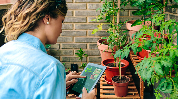 pro-mix-gardening-trends-05