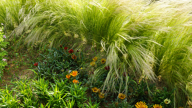 pro-mix-grow-care-stipa-03