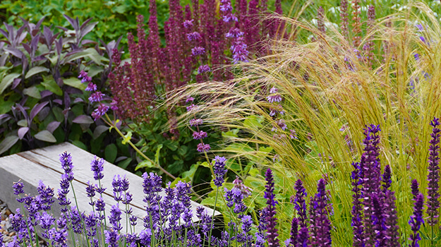 pro-mix-grow-care-stipa-05