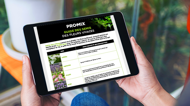 Une femme consulte le guide des semis des fleurs vivaces sur sa tablette.