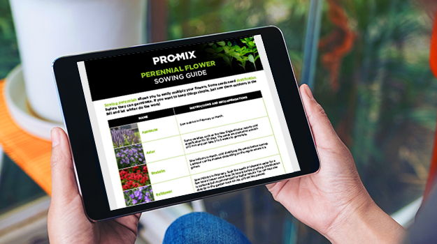 pro-mix-guide-sowing-perennial-flowers-06-en
