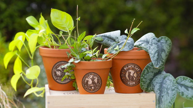 pro-mix-halloween-pot-crafts-01