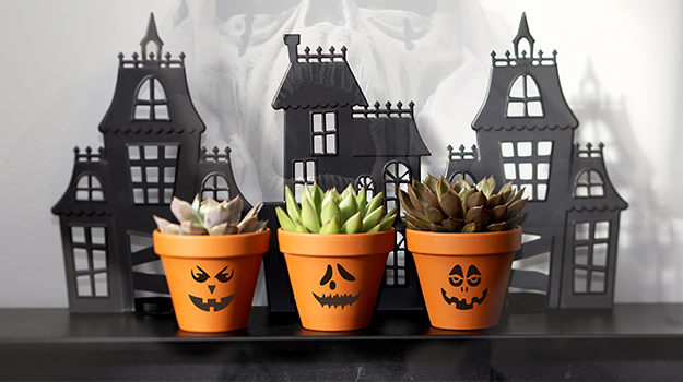 pro-mix-halloween-pot-crafts-02