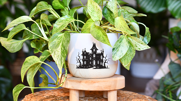 pro-mix-halloween-pot-crafts-04