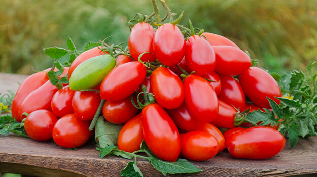 pro-mix-homemade-sun-dried-tomatoes-02