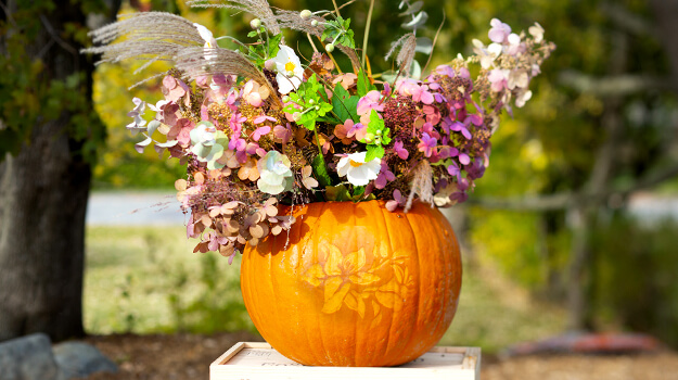 pro-mix-how-to-decorate-pumpkins-with-flowers-01