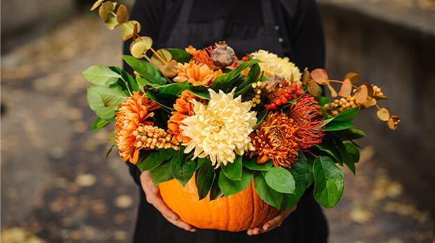pro-mix-how-to-decorate-pumpkins-with-flowers-09