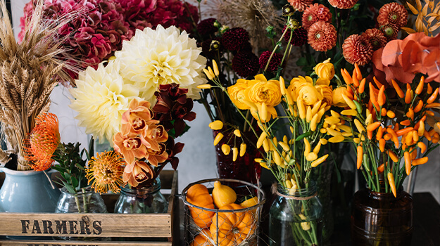 pro-mix-how-to-decorate-pumpkins-with-flowers-11