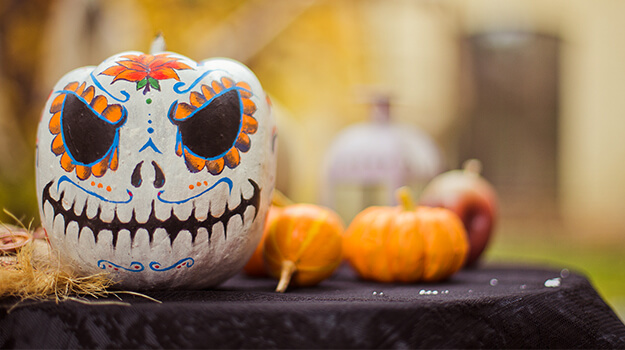 pro-mix-how-to-decorate-pumpkins-with-flowers-16