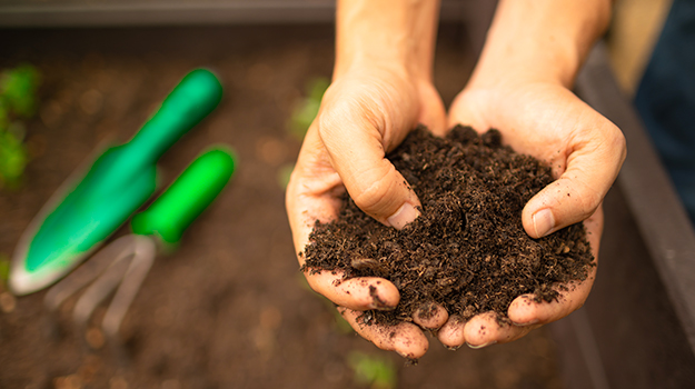pro-mix-how-to-grow-in-sandy-soil-08
