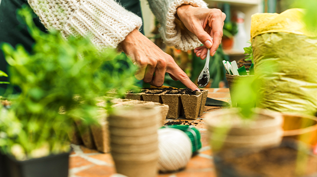 pro-mix-pricking-out-seedlings-03