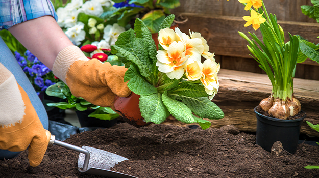 pro-mix-which-easter-plants-to-replant-in-the-garden-02