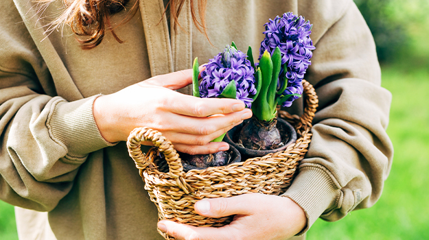 pro-mix-which-easter-plants-to-replant-in-the-garden-03
