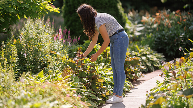 promix-12-trucs-pour-favoriser-le-rendement-du-potager-09