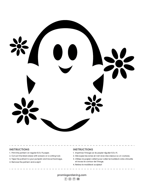 Our exclusive designs to carve the most beautiful pumpkin in your neighbourhood!