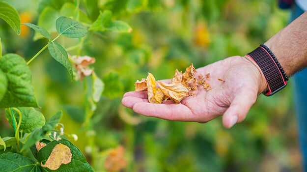 promix-climate-change-gardening-03