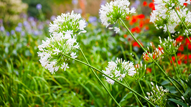 promix-climate-change-gardening-02