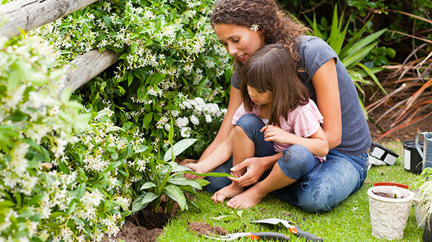 promix-climate-change-gardening-01