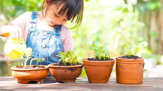 promix-climate-change-gardening-05