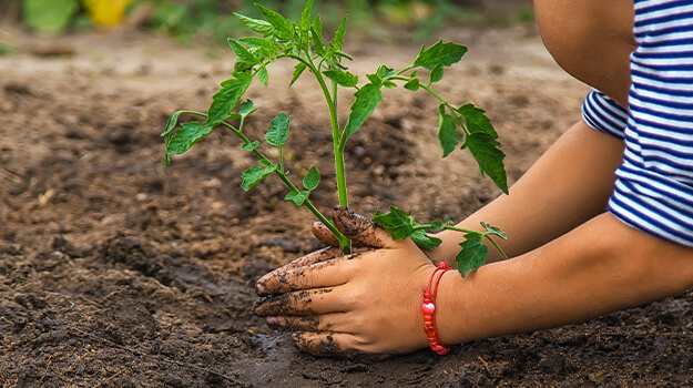 promix-climate-change-gardening-07