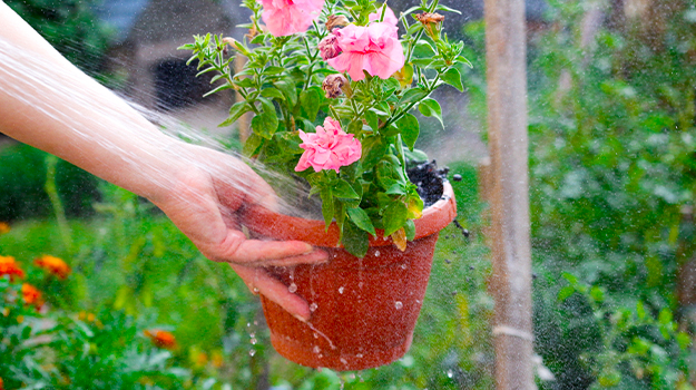 promix-conseils-pour-proteger-le-jardin-en-periode-de-canicule-02