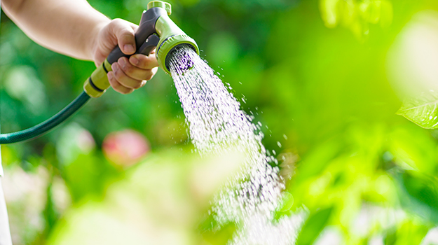 promix-conseils-pour-proteger-le-jardin-en-periode-de-canicule-04