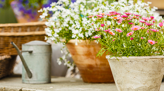promix-conseils-pour-proteger-le-jardin-en-periode-de-canicule-08
