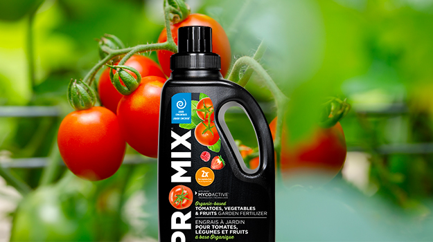 PRO-MIX engrais pour tomates et fines herbes pour éviter les problèmes de tomates