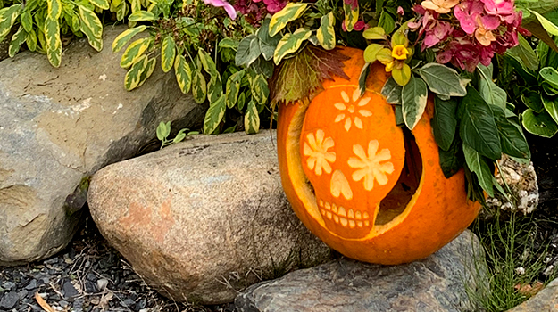 Dessins pour citrouille d’Halloween : sculptez la plus belle citrouille du quartier!